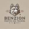 benzi_salman