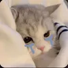 _2ana.11