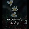 loolee1233
