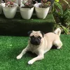 nathanaelsilaban0