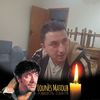 mahmoudsalhi5482