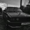 allik236