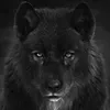 salvatore_the_wolf