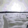 tefognp