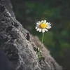 buigiang94