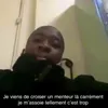 brozer03_81