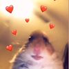 daisy_ugly