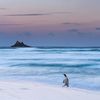 blueskynight3