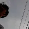 alifvino1