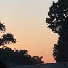 ash_2624