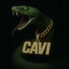 lilcavi2004