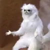 purplesplashhh