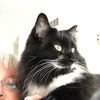 kathymoore065