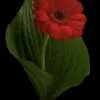 warsinwarsin1