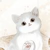 cal_n3