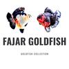 fajargoldfish