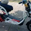 wagskie09