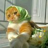 battamohamed37