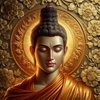 buddhismnsocial