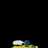 spyrossc