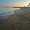liv_turner0