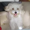 elenitamachado07
