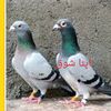 user78360926