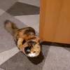 milanomila4