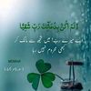 alijutt_20