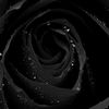 luckyprincess55