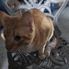 mrgato507