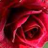 fatema77774