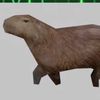 capy7703