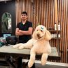 Danny The Groomer