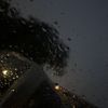 at_stephh