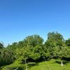 ilkin.mamedov637
