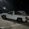g__bird12