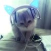 user291020829