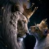 itzz_aneza0