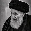zalnab5