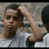 el_bicho43