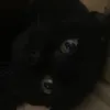 eiidame