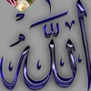 asel.ali842