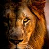 rakan_hmaaden
