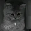 kotik_kiti6