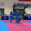 vovinam_ischool_st