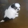 userkds7z7wwyk