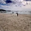 lisamttr2