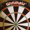 kingofdarts1