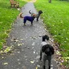 rosiebaileymatilda
